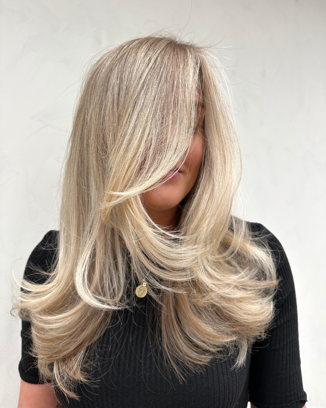 FULL HEAD OF HIGHLIGHTS